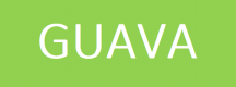 Guava Training in Guatemala