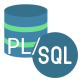 Oracle PL/SQL Training in Guatemala