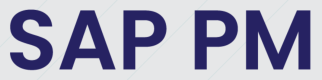 Category for SAP PM